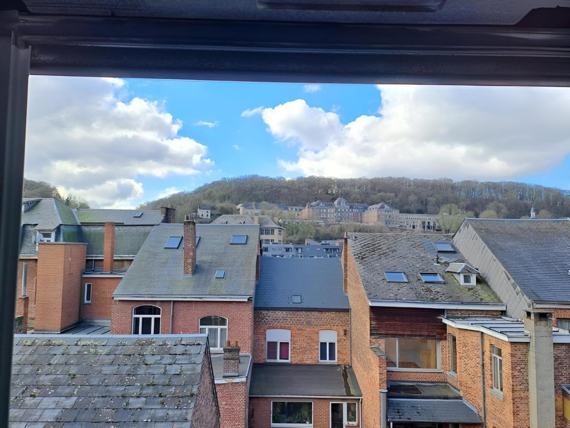 O Reflets - Citabelle For 3 - Studio 2 Beds View "Citadelle" 迪南 外观 照片